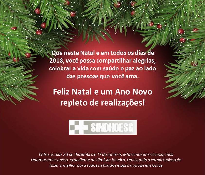 Feliz Natal e um Ano Novo repleto de realizações! - SINDHOESG